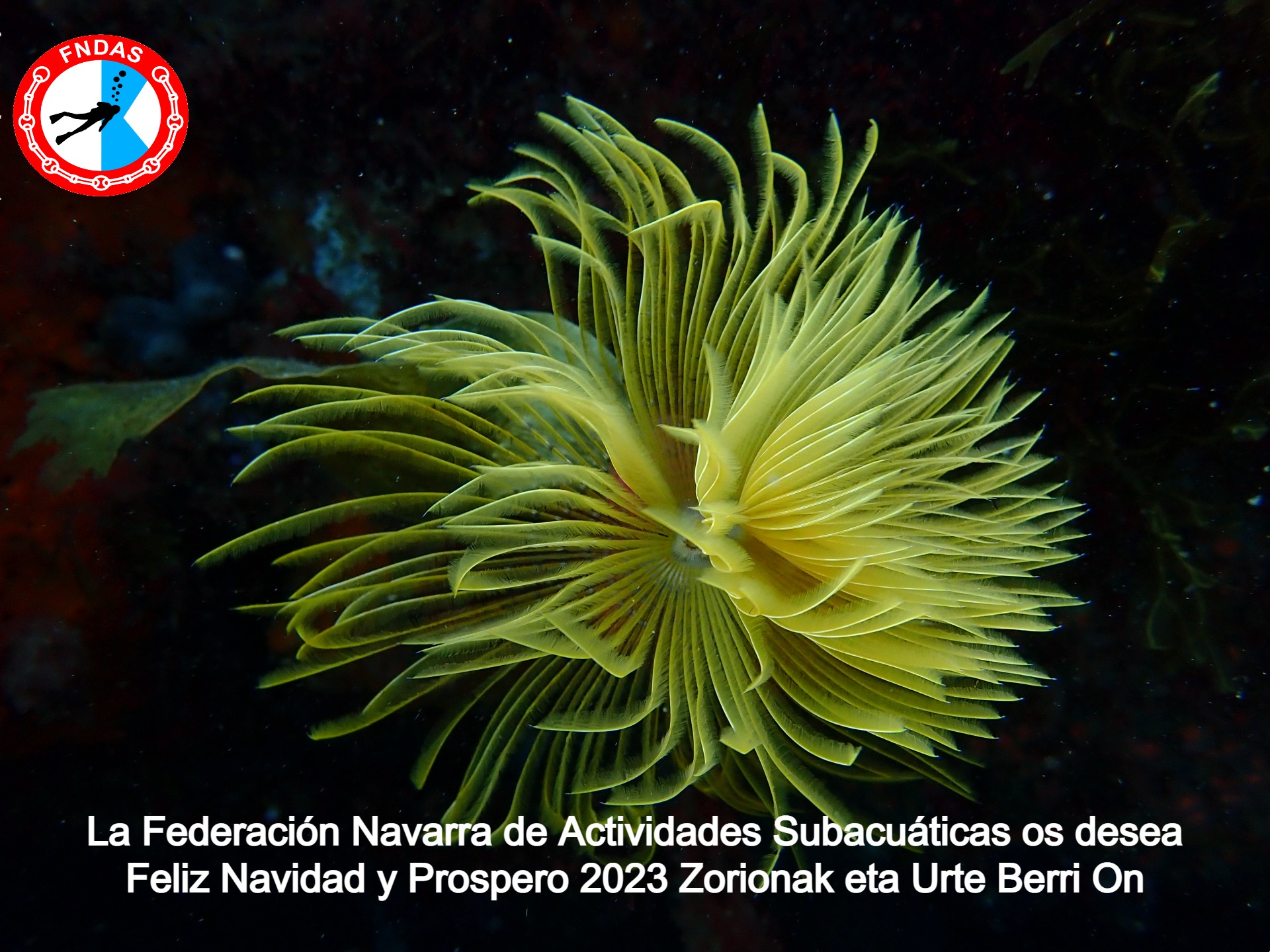 Simón Santamaría, ganador del concurso postal navideña FNDAS